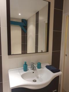 Appartement entier - Centre ville - Batiment historique - 5