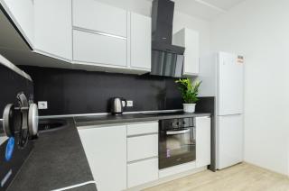 Lebedinny Flat, Ліфт, Вода, Опалення, WiFi, працюють при відключенні єлектрики - 8