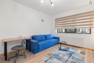 Residence Iacobescu Studio - 4