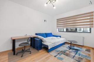 Residence Iacobescu Studio - 9