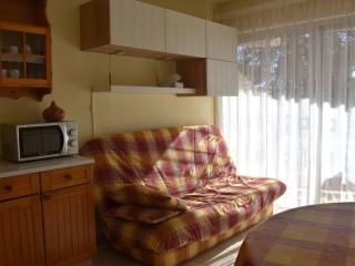 Studio Cabine Confortable - Proche Centre avec Parking - FR-1-580-31 - 0