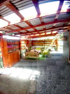 Cabañas Aylanis Coñaripe - 5