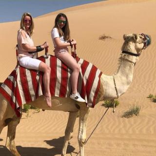 Royal Jaisalmer Resort with Swimming Pool - 8