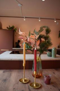 Villa Roos - new cozy location with hottub - 5