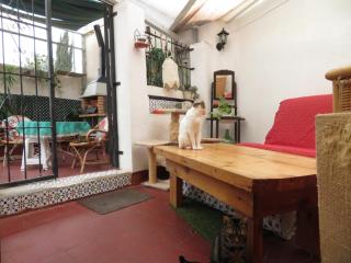 Don Enrique Casco Historico - 2