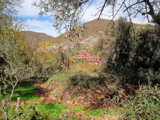 Chez Yahia, Au coeur de L'Ourika - 9