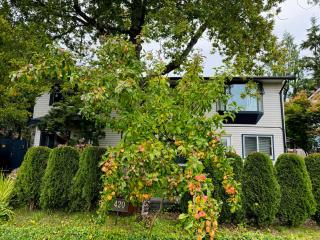 Blue Cypress Suite- Downtown Tofino - 2