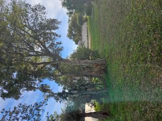 Mobilehome chez dede - 6