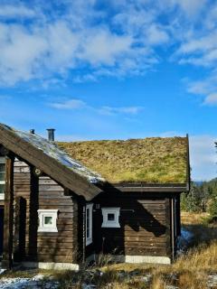 Timber Cabin With Mountain Views In Synnfjellet - 7