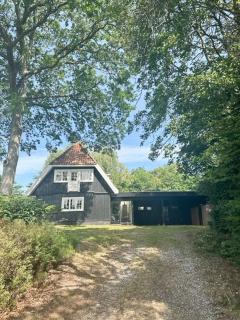 Atmosphere In Forest-Clad Setting At Rågeleje - 5