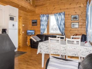 Holiday Home Saana 1 by Interhome - 3