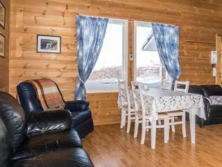 Holiday Home Saana 1 by Interhome - 1