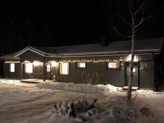 Holiday Home Torvokoski by Interhome - 4
