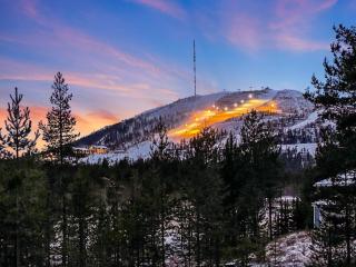 Holiday Home Lumomarja by Interhome - 8