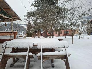 Pensiunea La Plai - Oază de Relaxare - 8