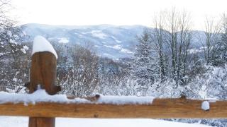 Chatka Pod Dębem - 8