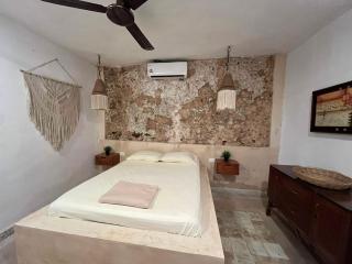 Casona in Valladolid Historic Center - 1