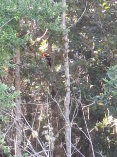 My Refugio Wet Wet - 2