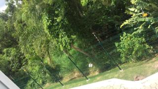 apto 2 quartos, ar condicionado, vaga, condomínio com piscina, portaria 24h - 1