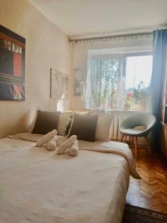 Cozy Apartment in Kaunas with Free Parking. - 7