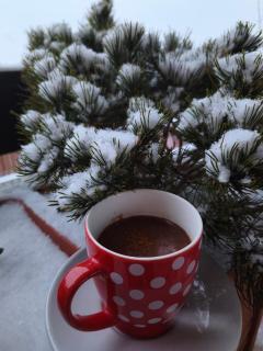 Pension Panorama - 7