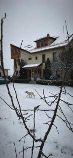 Pension Panorama - 6