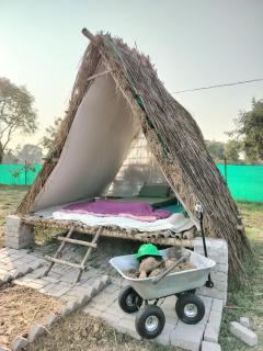 Bamboo A-Frame Camping at Khajuraho Eco-Farm - 8