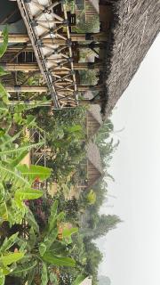 Mowgli's Cafe Hampi & Guest House - 6