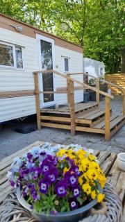 City Farmer Farmyard Stays, Sleep Easy, Stay Rural, Explore Amsterdam - 9