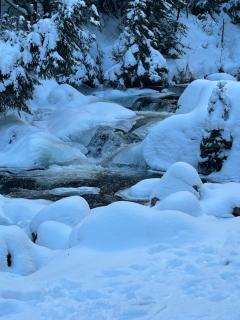 Útulný apartmán s terasou na Šumavě v malebné vesničce Prášily - 1