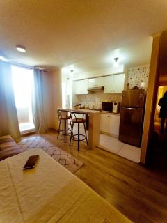 Departamento para 4 o 5 personas en Pucon - 4