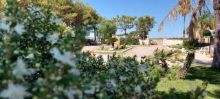 Masseria San Nicola B&B - 7