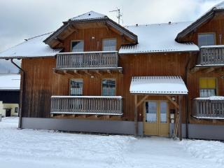 Útulný apartmán s terasou na Šumavě v malebné vesničce Prášily - 9