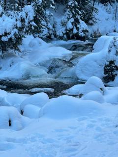 Holiday in Bohemian Forest in the picturesque village of Prášily - 2