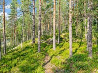 Holiday Home Karhupirtti by Interhome - 7