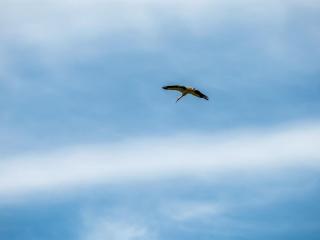 Holiday Home Truels - 30km from the sea by Interhome - 8