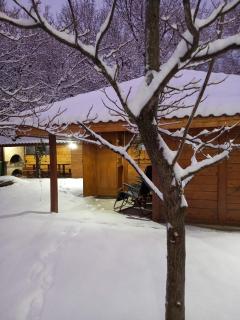 Koliba Dimitrijević - 8