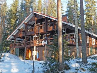 Holiday Home Tuohiniemi by Interhome - 0