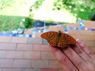 Wild Art Wooden house&Tree house - 5