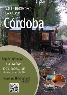 cabaña en el bosque - 9