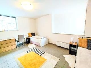 Apartment Čertovka-2 by Interhome - 3