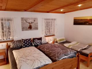 Ferienwohnung zum Sebnitzer Hirsch - 9