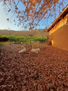 Marmaric Guesthouse - 2