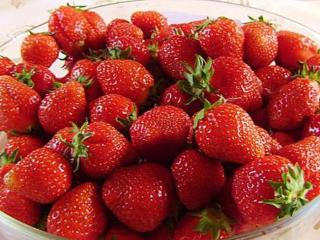 Holiday Home Villiruusu by Interhome - 5