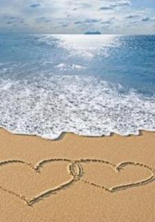 Fairy Cove Cottage - 9