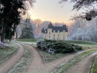 Château de Villechauvon - 1