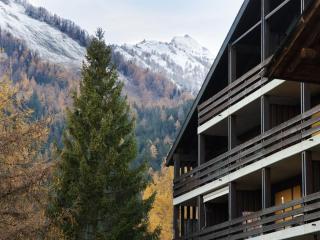 Apartment Centaure B CO 1 by Interhome - 8