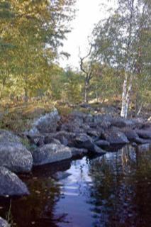 Holiday Home Louhiranta by Interhome - 3