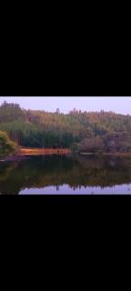 Cabañas Río Sur - 0