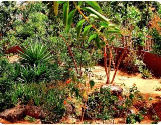 Villa AfricaSolly - 6